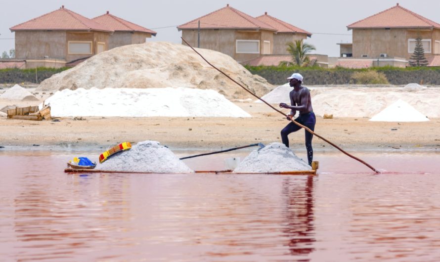 Un voyage à Dakar