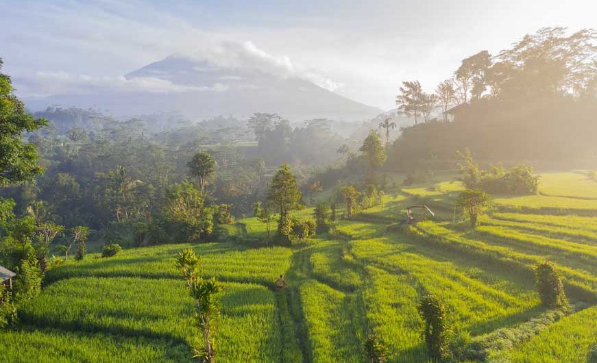 Partir à Bali